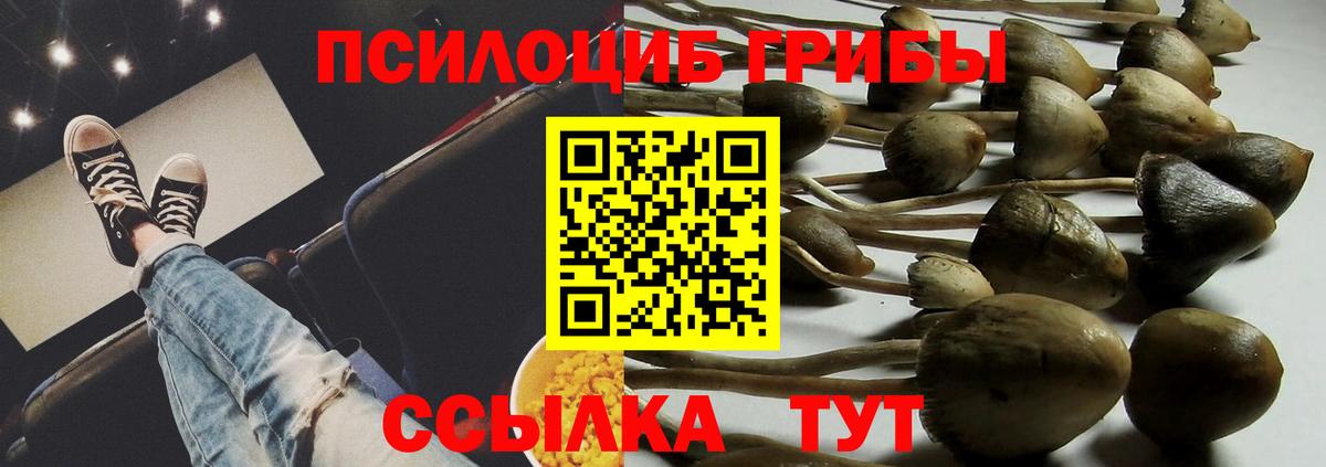 Галлюциногенные грибы мицелий Краснокаменск