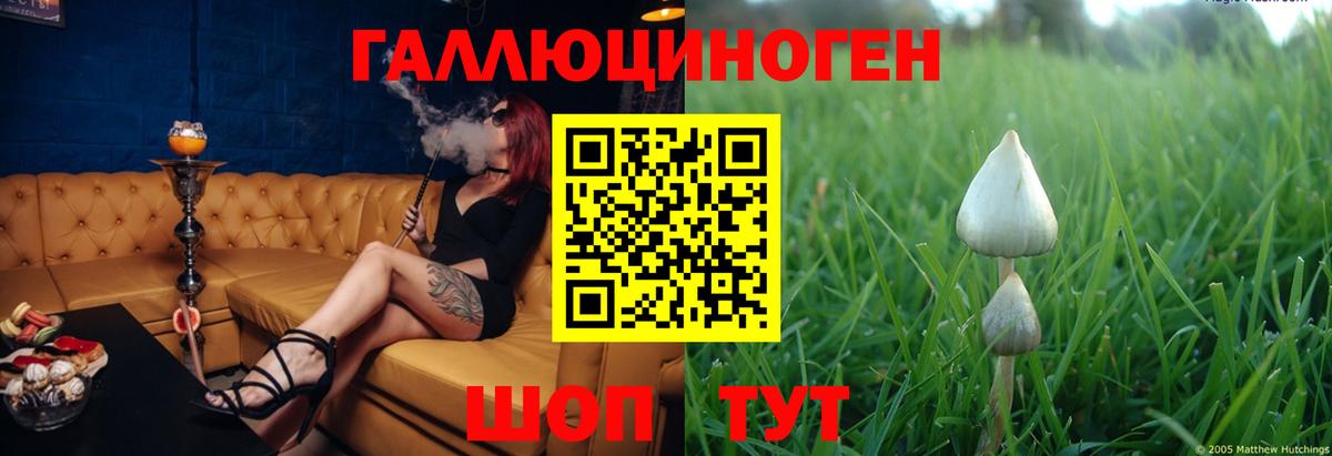продажа наркотиков  Псилоцибиновые грибы Magic Shrooms  Вход с VPN  Краснокаменск 